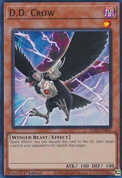 769678.jpg