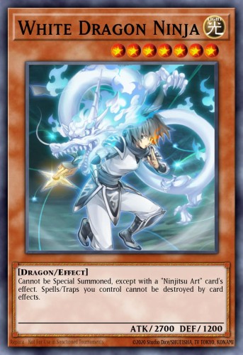 White Dragon Ninja