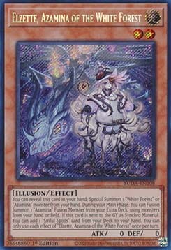 806042.jpg