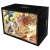 radiant-origins-1st-edition-booster-box-full.png