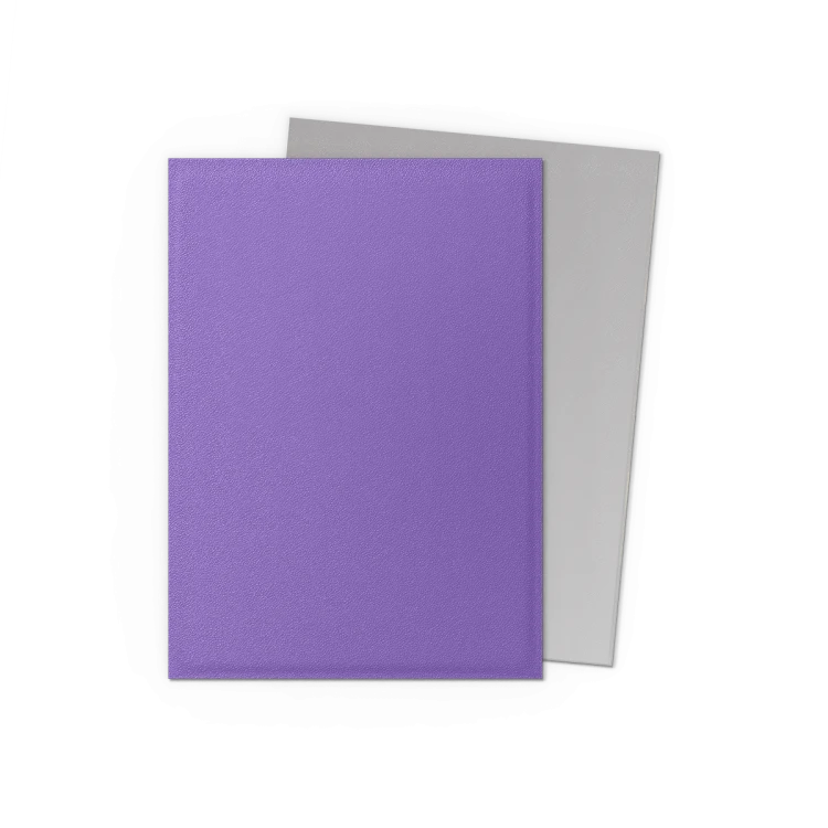 Dragon Shield Standard Dual Matte - Nebula &amp; Silver 5.png