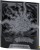 Pokémon TCG Mega Evolution - Pitch Black - Elite Trainer Box (13).jpg