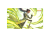 Master Yi, Wuju Master.png